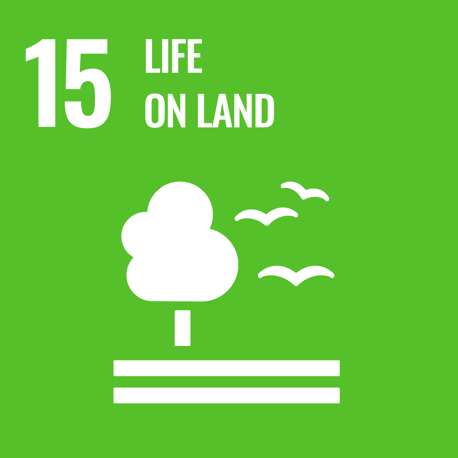 Goal Fifteen: Protect, restore and promote sustainable use of terrestrial ecosystems, sustainably manage forests, combat desertification, and halt and reverse land degradation and halt biodiversity loss