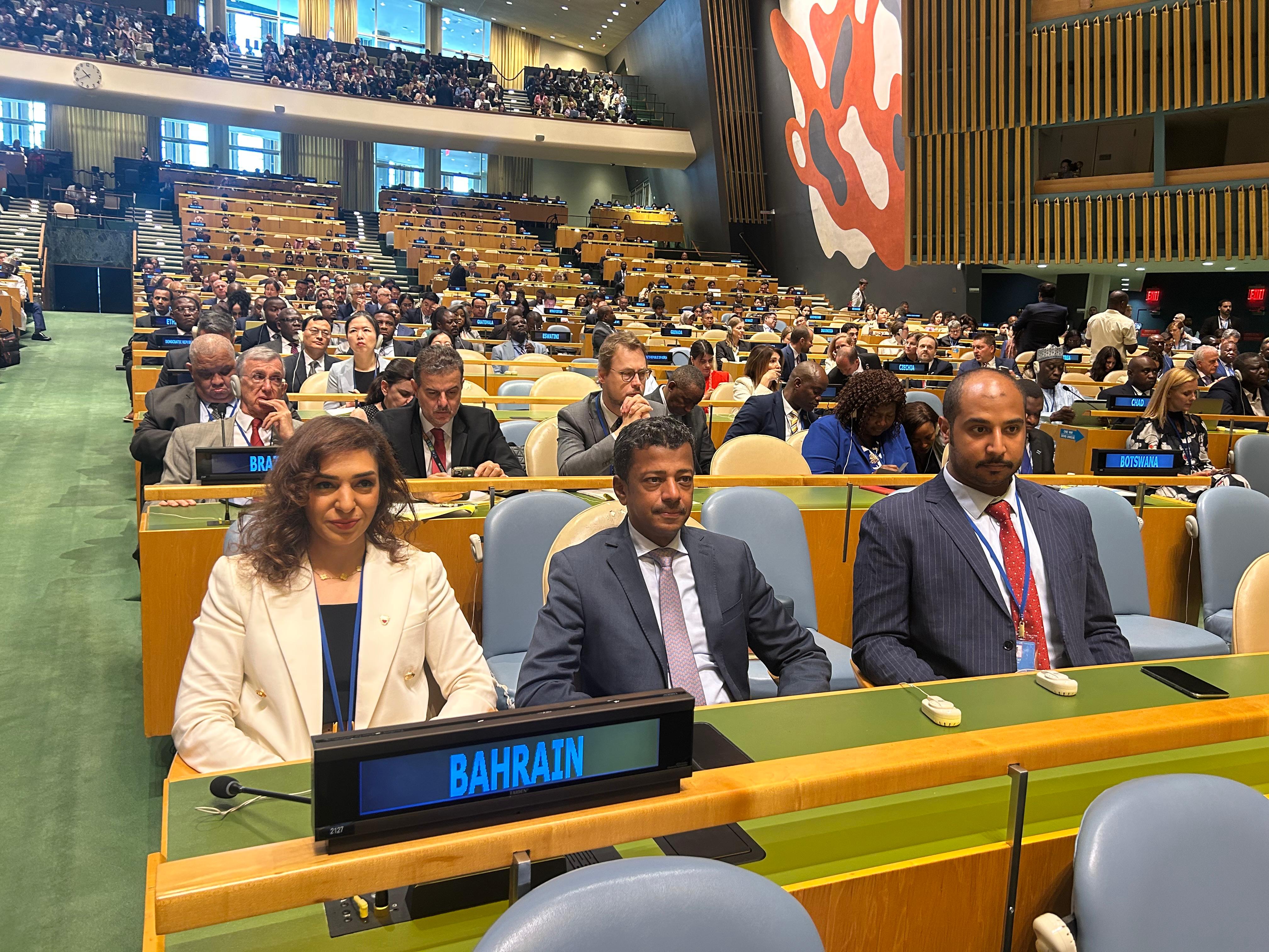 Sustainable Development Assistant Undersecretary participates in UN high-level political forum on sustainable development
